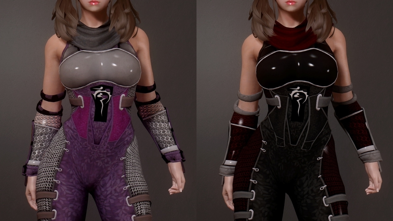 【skyrim】ayane Armor Doa Port Tre Maga 0403