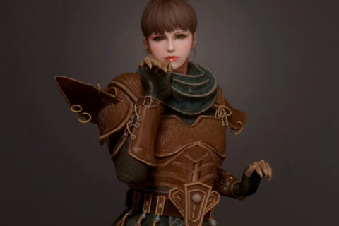 【Skyrim SE】Ordinator Armor